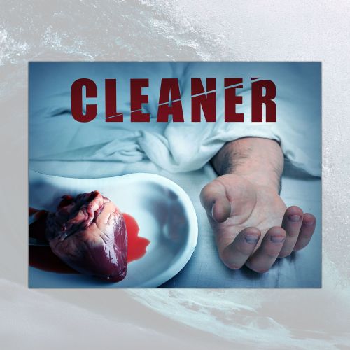 Cleaner