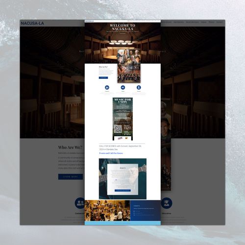 NACUSA-LA Website